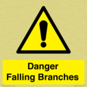 danger-falling-branches~